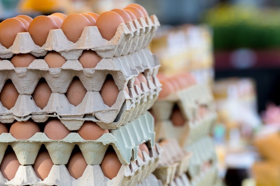 Le prix des œufs s’envole et inquiète les consommateurs