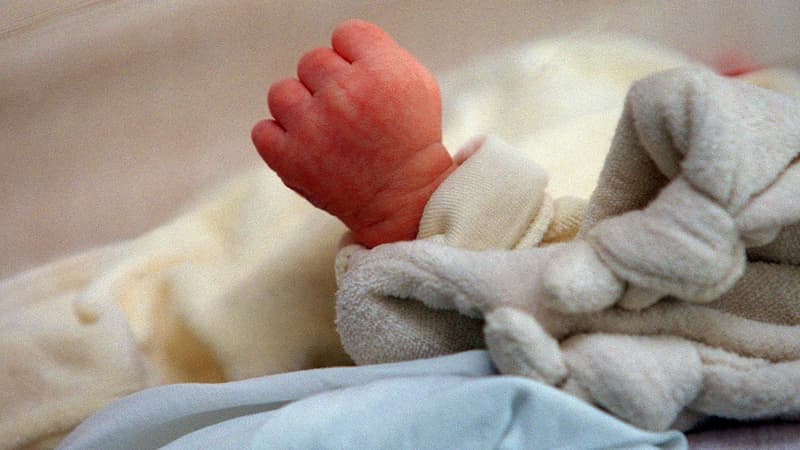 Saint-Étienne: un nouveau-né retrouvé dans un native à poubelle, la mère en garde à vue